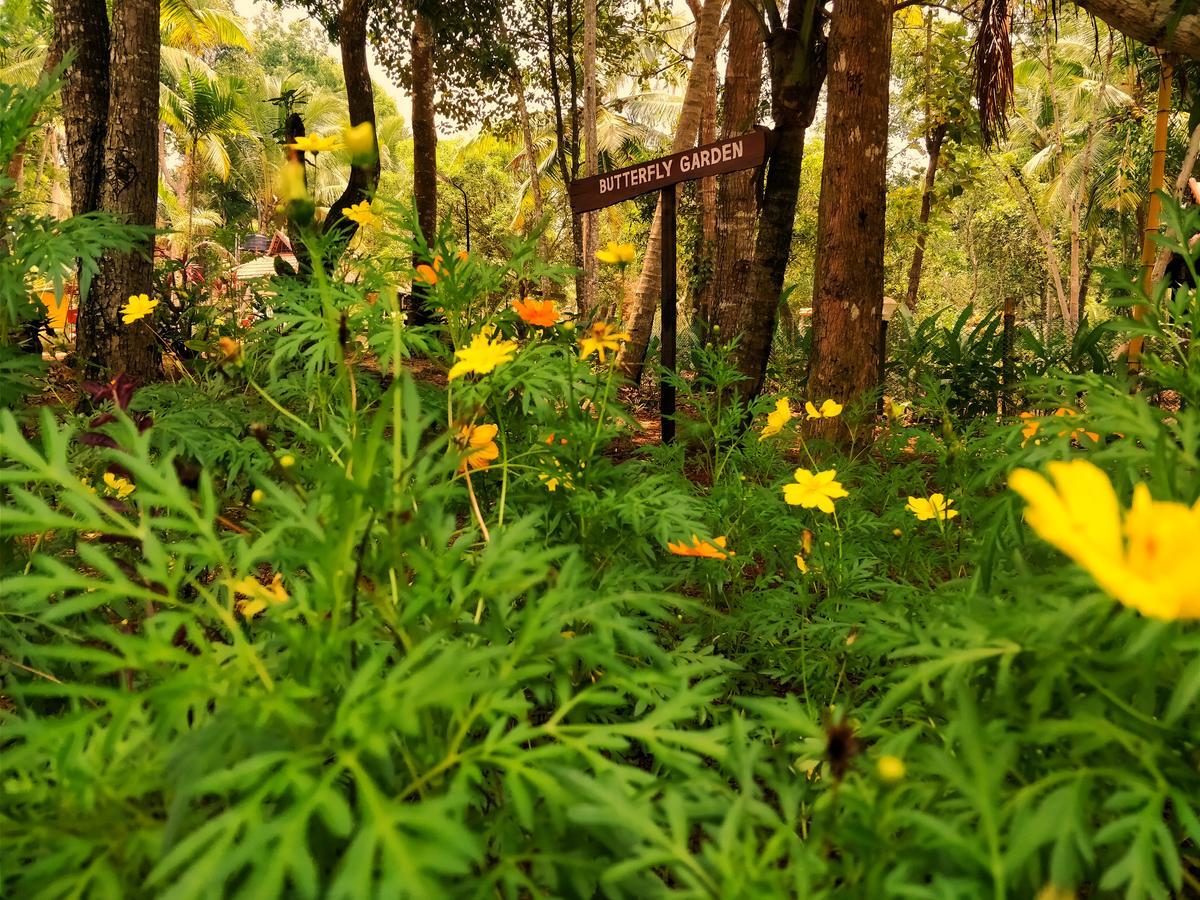 Palathra Heritage Mararikulam Luaran gambar