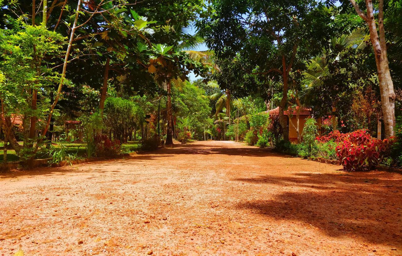 Palathra Heritage Mararikulam Luaran gambar