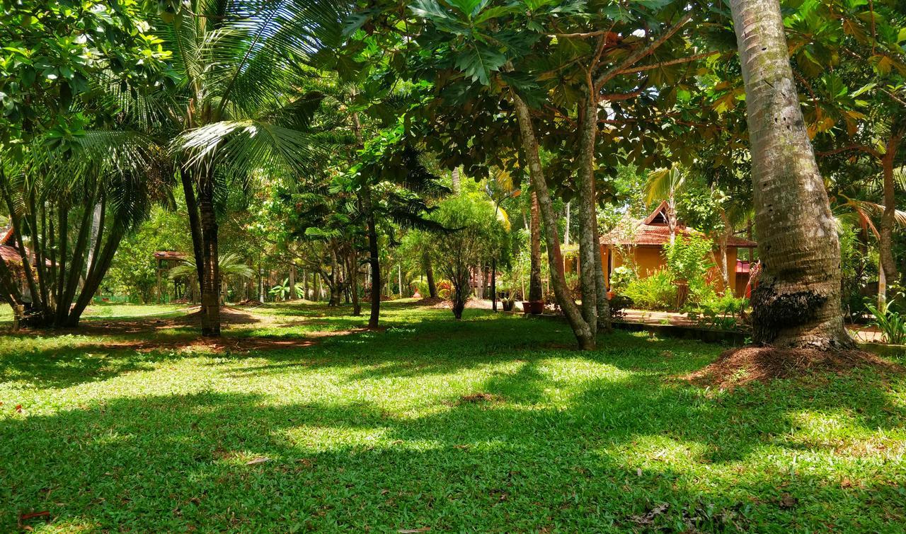 Palathra Heritage Mararikulam Luaran gambar